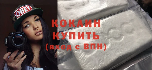 прущие грибы Нязепетровск