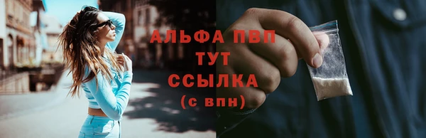 прущие грибы Нязепетровск