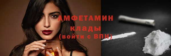 прущие грибы Новозыбков