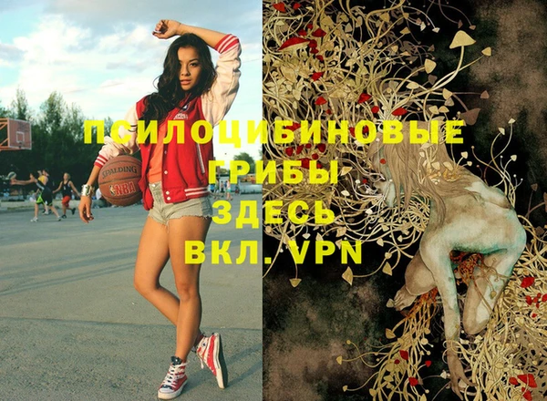 бошки Нягань