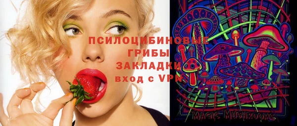 бошки Нягань