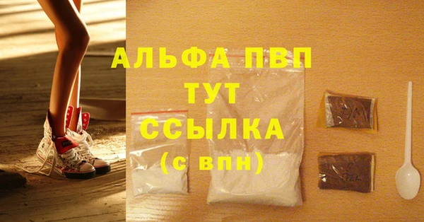прущие грибы Нязепетровск