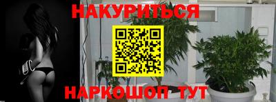 шишки Можайск