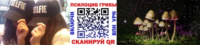 Галлюциногенные грибы Magic Shrooms  Купить где  Рузаевка 