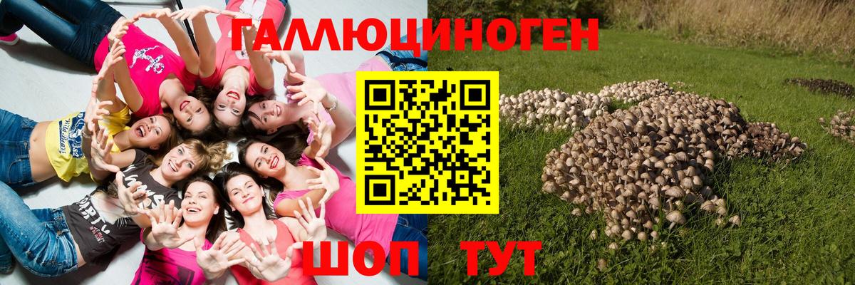Галлюциногенные грибы GOLDEN TEACHER Рузаевка