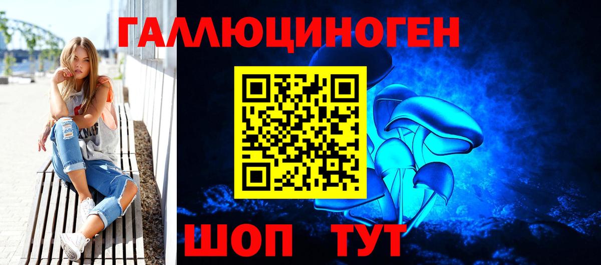 Псилоцибиновые грибы Psilocybine cubensis  Рузаевка 