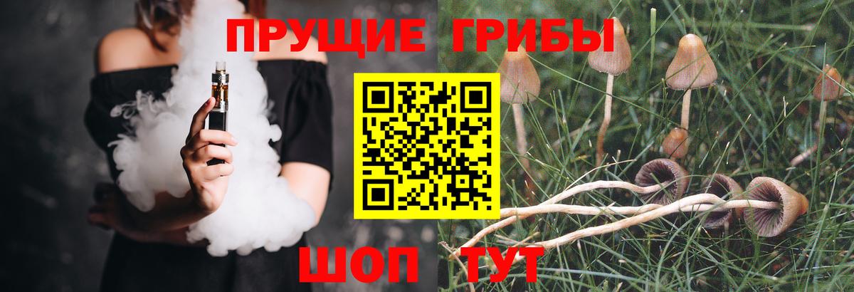 Псилоцибиновые грибы мицелий  Вход с VPN  Рузаевка  Галлюциногенные грибы ЛСД 