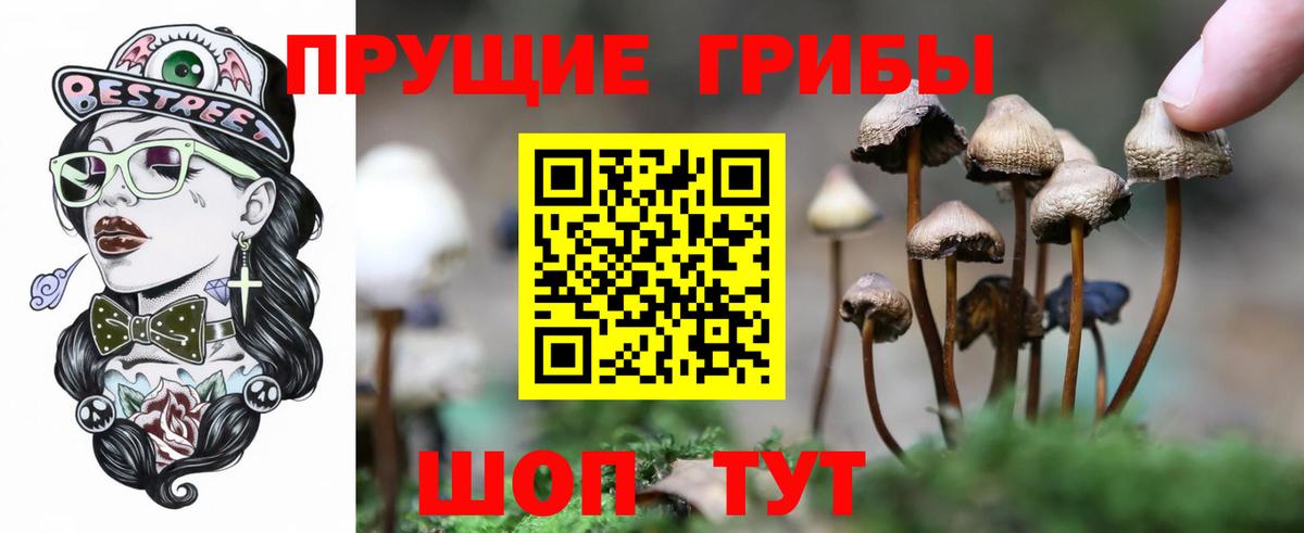 Псилоцибиновые грибы GOLDEN TEACHER Рузаевка